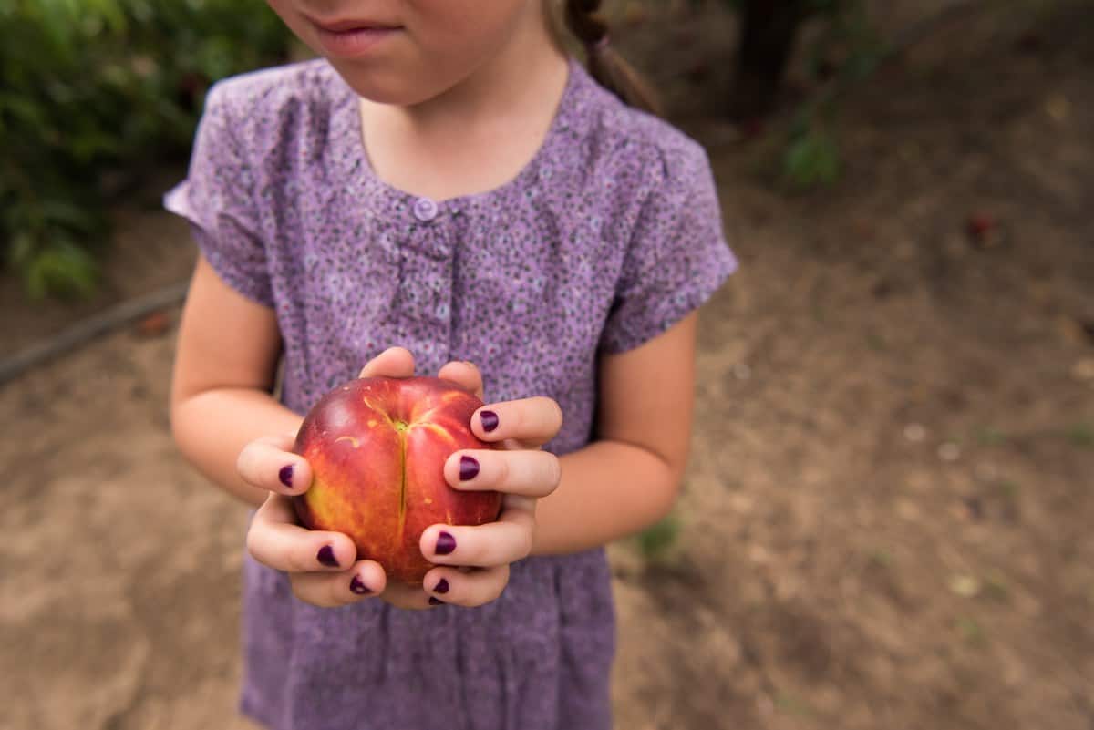 A young child holding a nectarine.