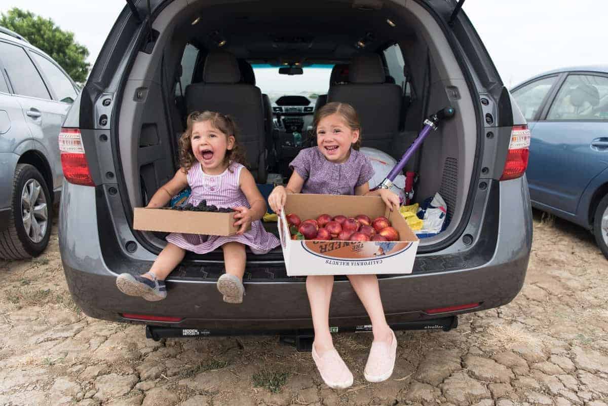 Two children holding flats of fruit in the back of a van.