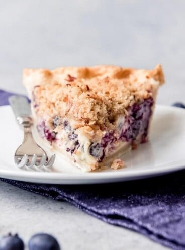 a straight on shot of a triangular slice of blueberry custard pie on a plate