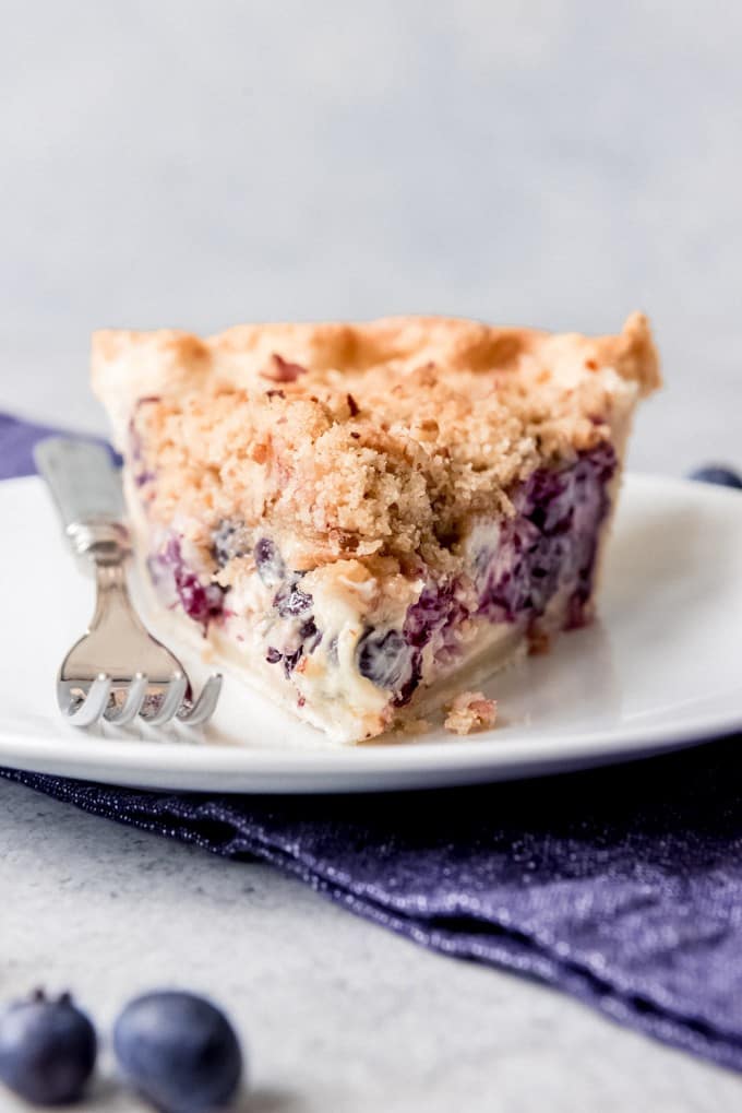 a straight on shot of a triangular slice of blueberry custard pie on a plate