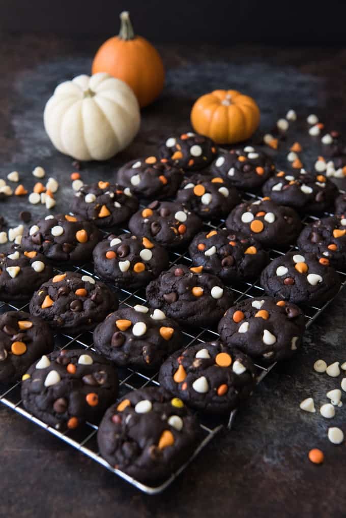 Dark Chocolate Halloween Chip Cookies neatly arranged on a cooling rack with scattered chips and a few pumpkins around it