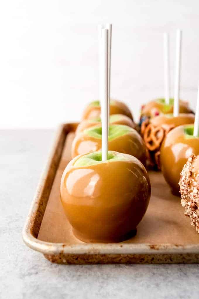 An image of homemade caramel apples lined up on a baking sheet.