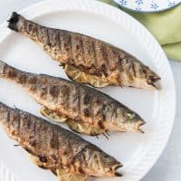 grilled fish on a white plate