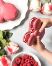 hands holding up a mouse head shaped raspberry macaron with fresh roses and raspberries below