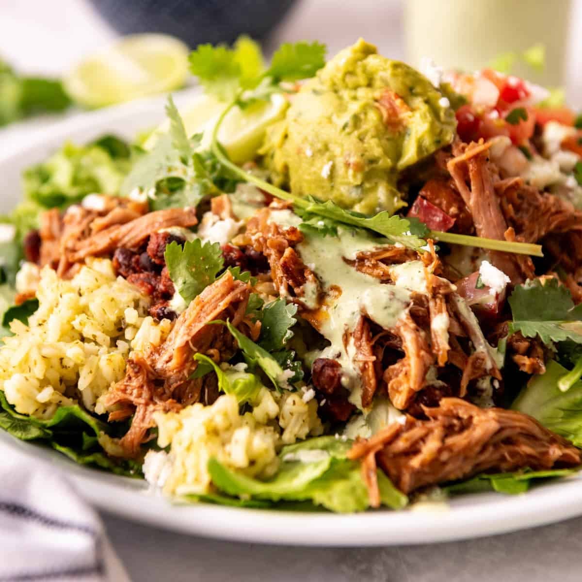 Cafe Rio Sweet Pork Recipe