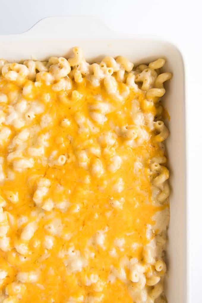 melted cheese topped macaroni in a baking dish