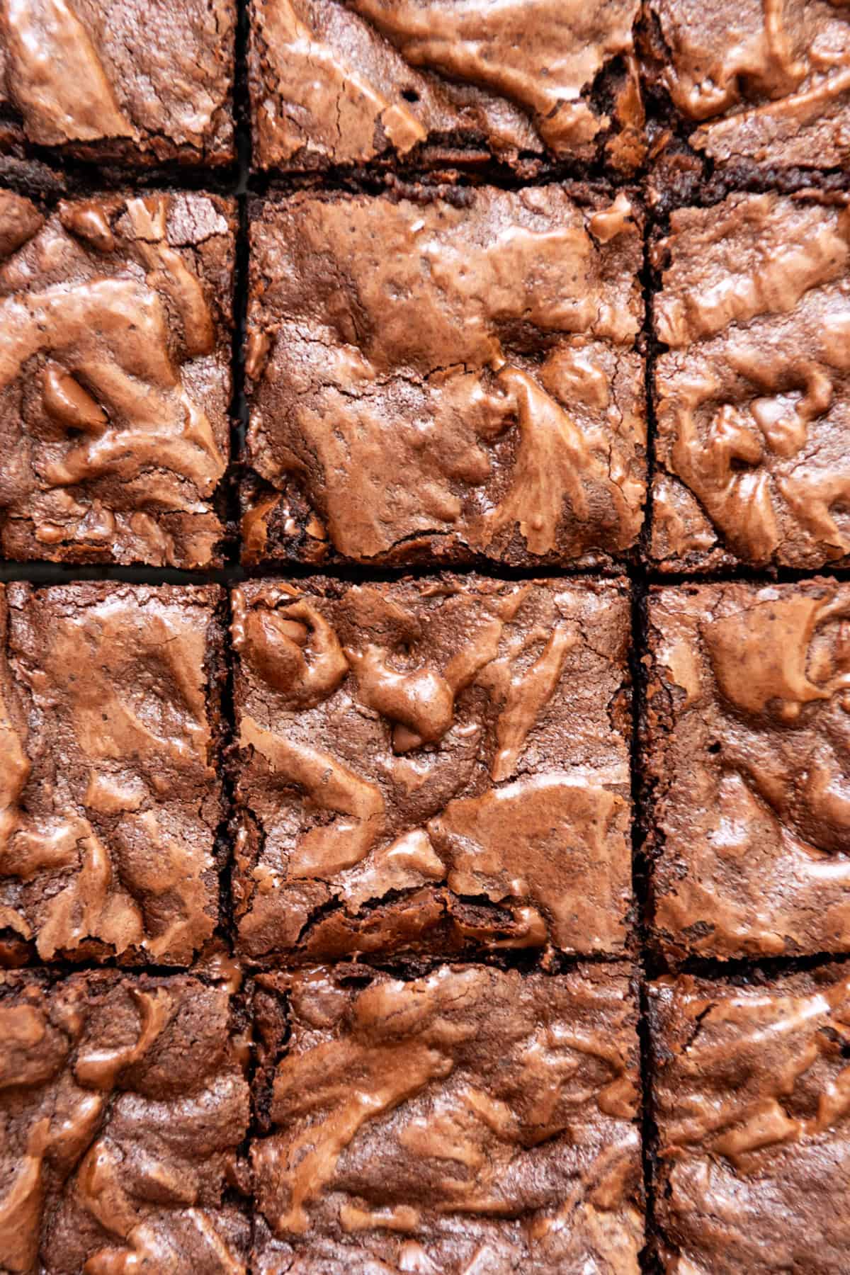 Homemade brownies cut into squares.