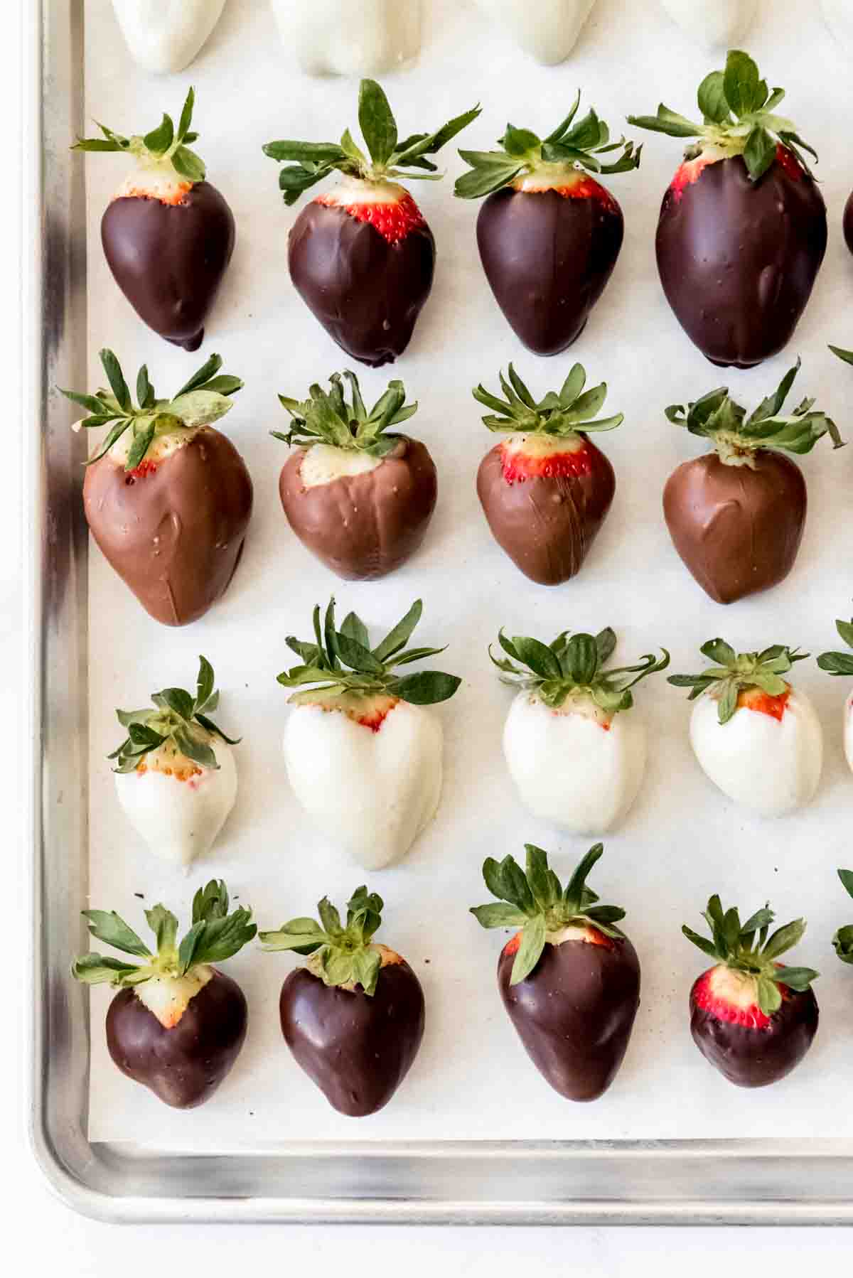 Chocolate covered strawberries arranged in rows on a baking sheet.