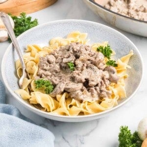 A bowl of egg noodles with ground beef stroganoff on top.