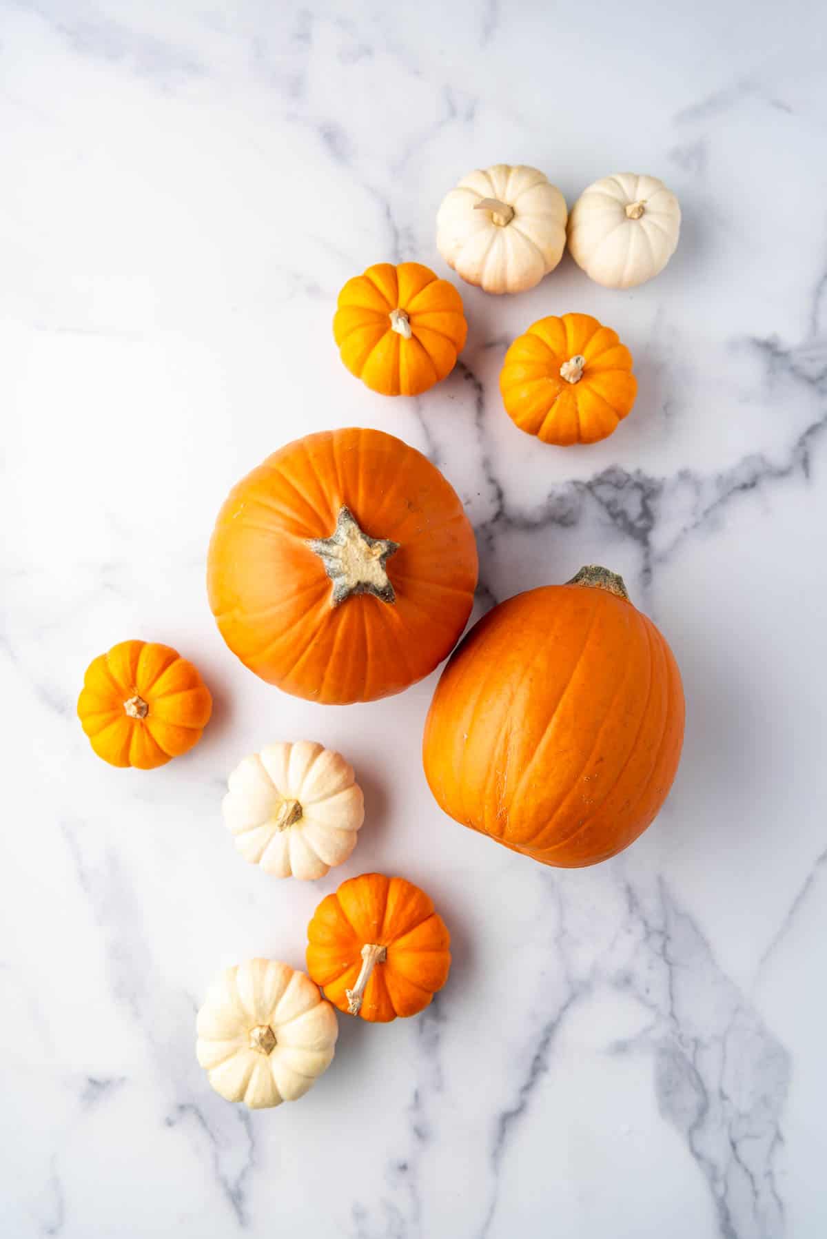 Various sized orange and white pumpkins on a marble surface.