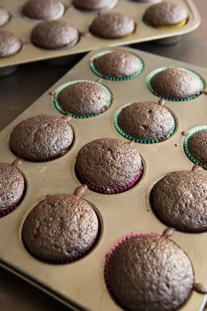 Unfrosted chocolate cupcakes in a cupcake pan and cupcake liners.