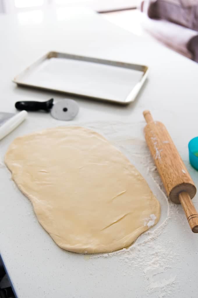 Roll dough rolled out on a floured surface in preparation for shaping and the final rise.