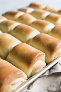 a baking sheet with rows of baked lion house dinner rolls on it