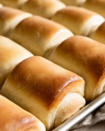 Tray of freshly baked rolls fresh from the oven, with buttered tops.