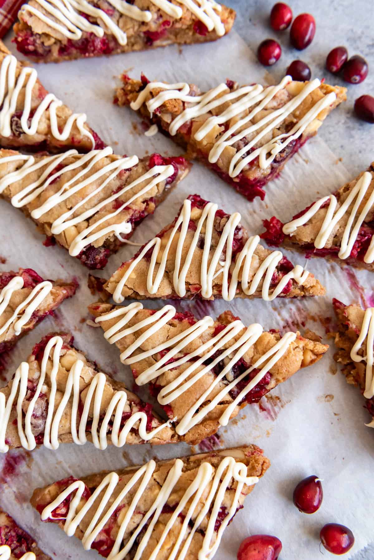 An overhead image of white chocolate cranberry blondies.