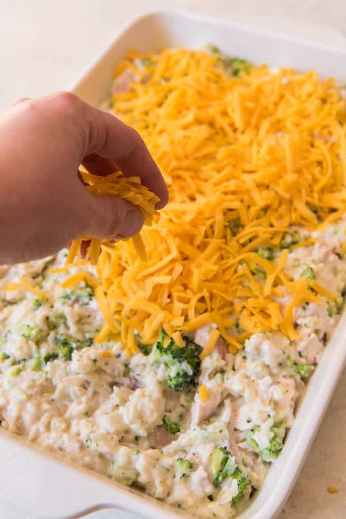 Sprinkling shredded cheddar cheese over a chicken broccoli and rice casserole.