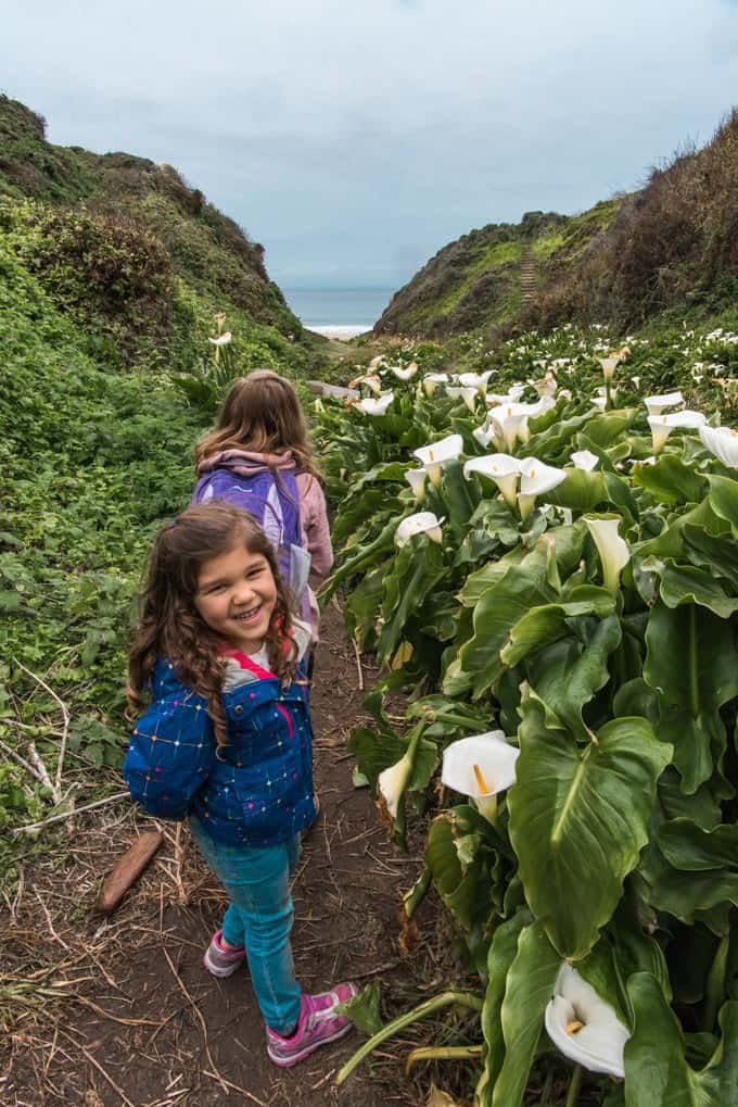 Two young children hiking in Big Sur, California.