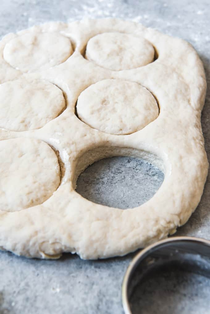 An image of homemade buttermilk biscuit dough with biscuits cut out with a circle biscuit cutter.