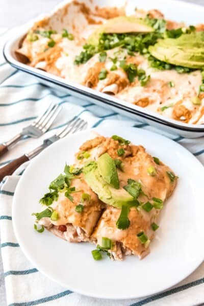 Chicken Enchiladas with Pumpkin Sauce - House of Nash Eats