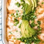 An image of a pan of pumpkin chicken enchiladas topped with melted cheese, chopped green onions, cilantro, and sliced avocado.