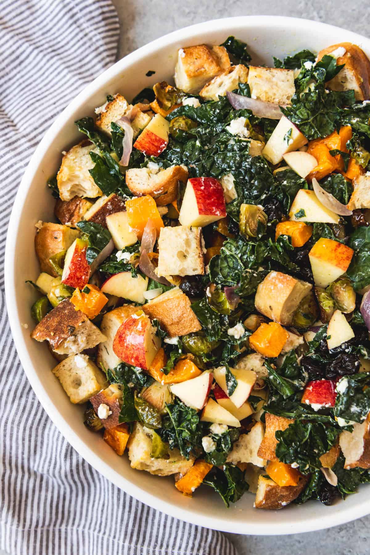 An image of a Fall Panzanella Salad with lots of toasty bread.