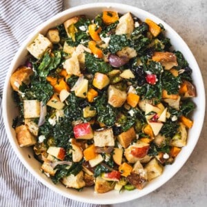 An image of a Fall Panzanella Salad for a great Thanksgiving dinner side dish.