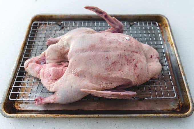An image of a whole duck on a wire rack after being patted dry.
