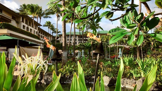 a sandy beach resort with a lot of green shrubery and trees
