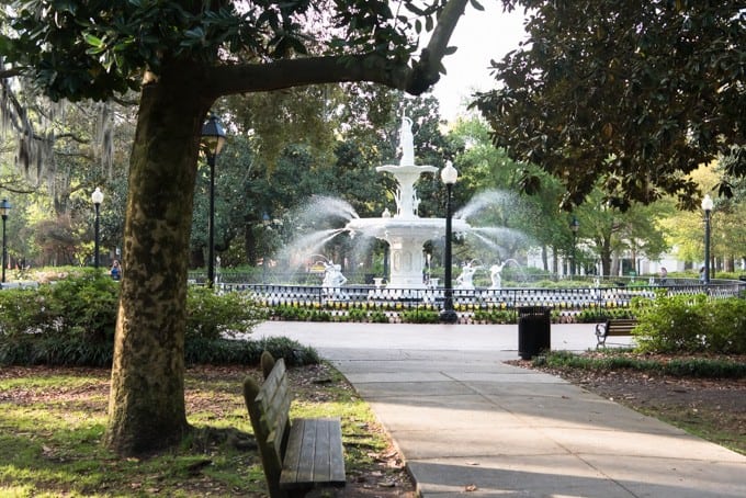 An image of a white water feature in a park.