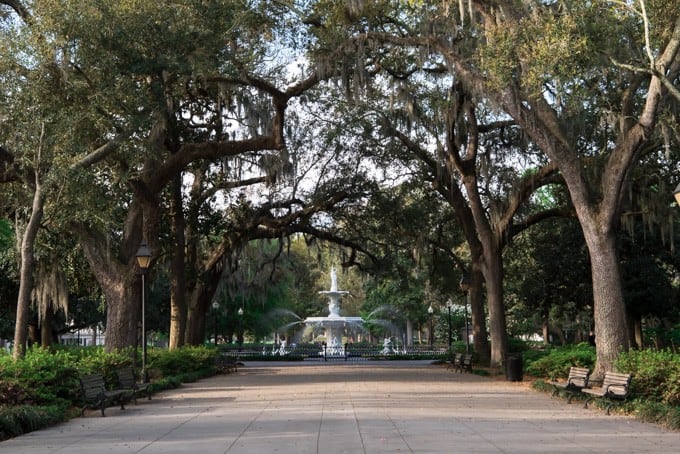 An image of the famous fountain and trees in Forsythe Park in Savannah, Georgia.