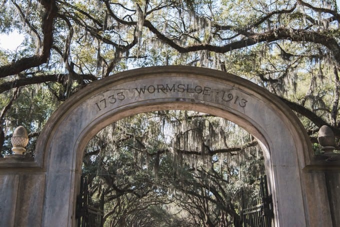 An image of the arched entrance to Wormsloe Historic Site in Savannah, Georgia.