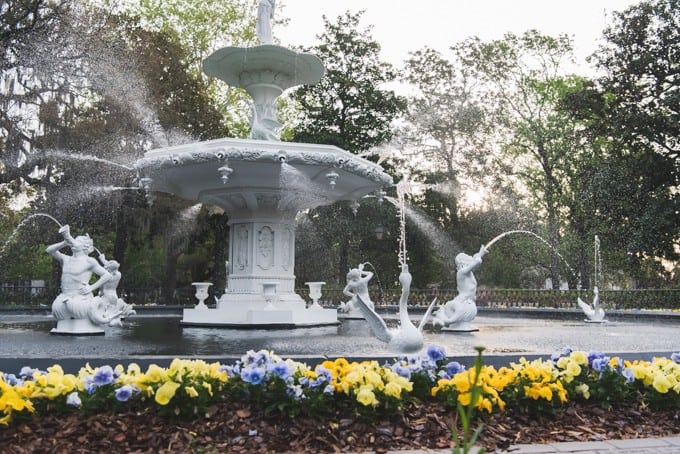 An image of a fountain spraying water with pansies in the foreground.