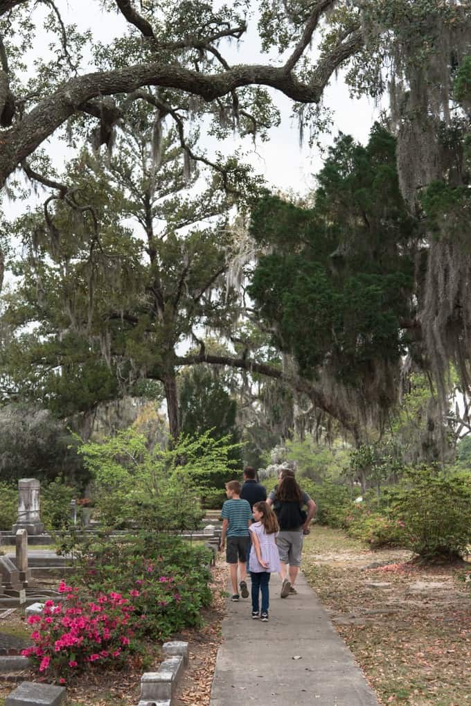 An image of people walking on a path in Bonaventure Cemetery.
