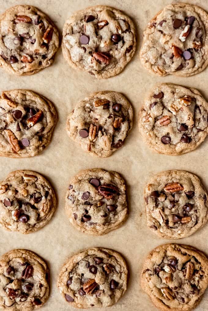 Amy image of freshly baked pecan chocolate chip cookies on a baking sheet lined with parchment paper.