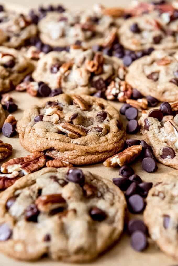 An image of chocolate cookies with crisp edges and soft centers, with pecan halves and chocolate chips sprinkled around.