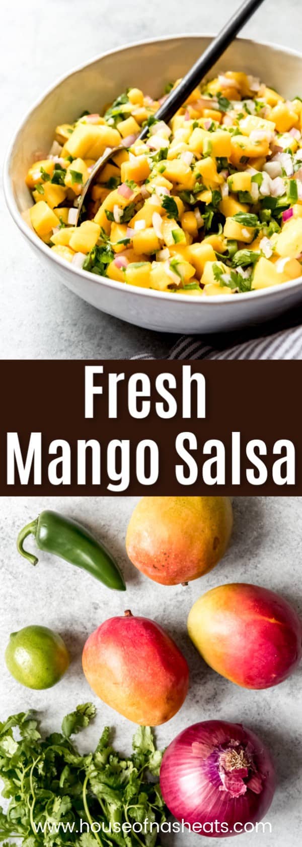 Fresh Mango Salsa House Of Nash Eats