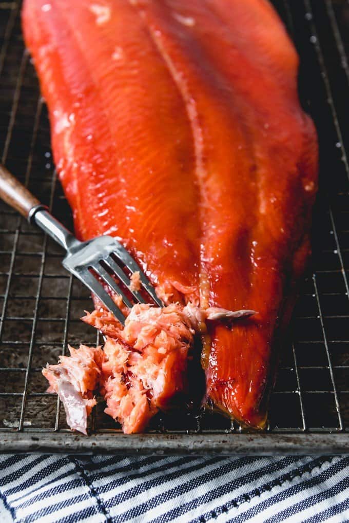 An image of hot smoked salmon being flaked with a fork.