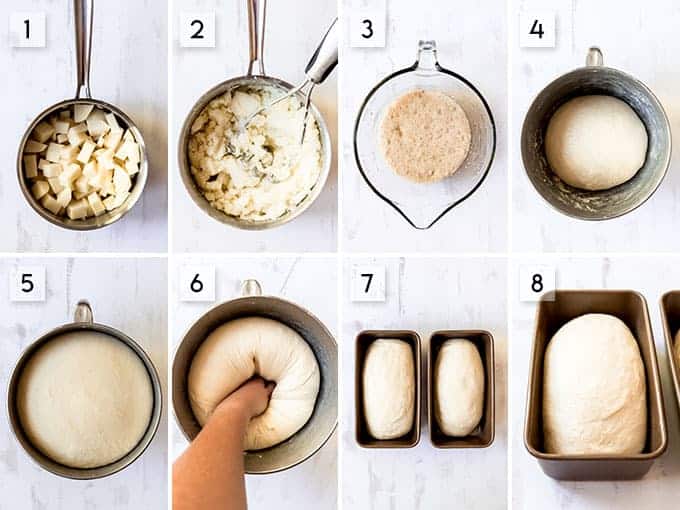 A collage of images showing the steps for how to make potato bread from mashing potatoes, proofing yeast, letting dough rise, to shaping loaves.