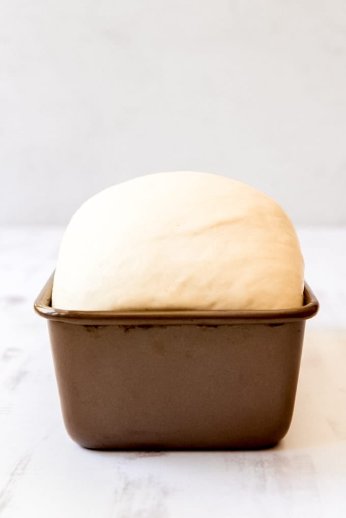 An image of a loaf of bread that has risen in the pan before baking in the oven.