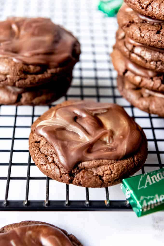 An image of a chocolate cookie with a chocolate mint candy topping.