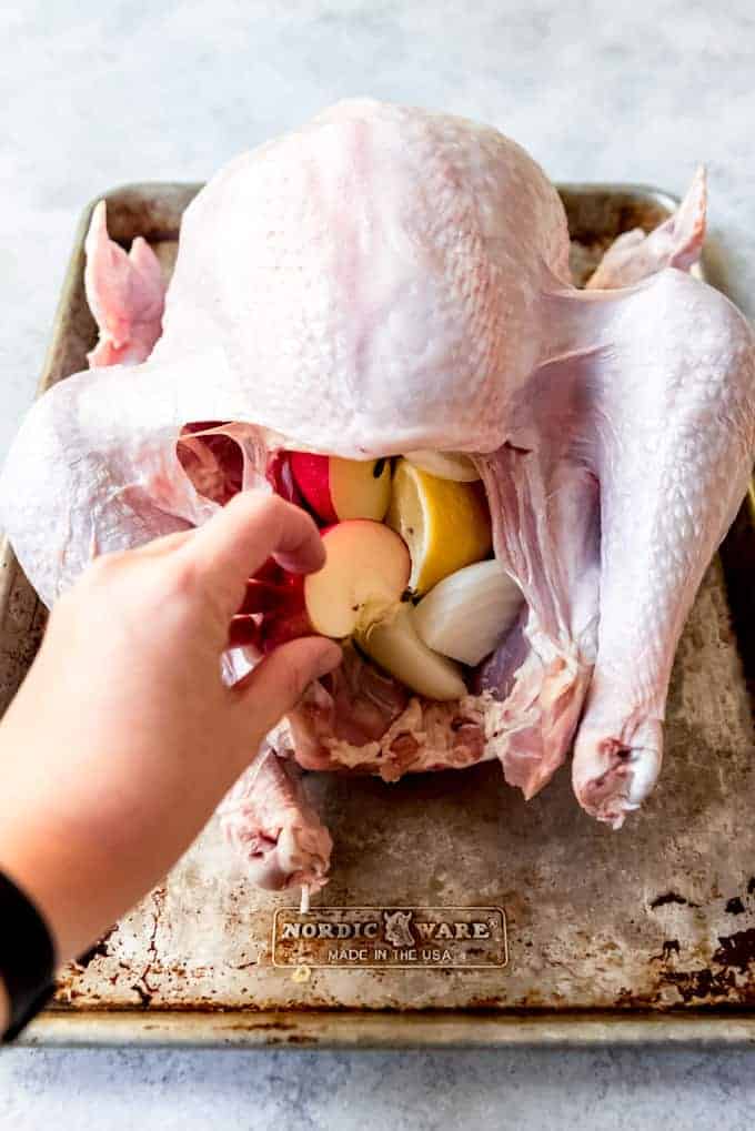 An image of a turkey being stuffed with apples, lemons, and onions.