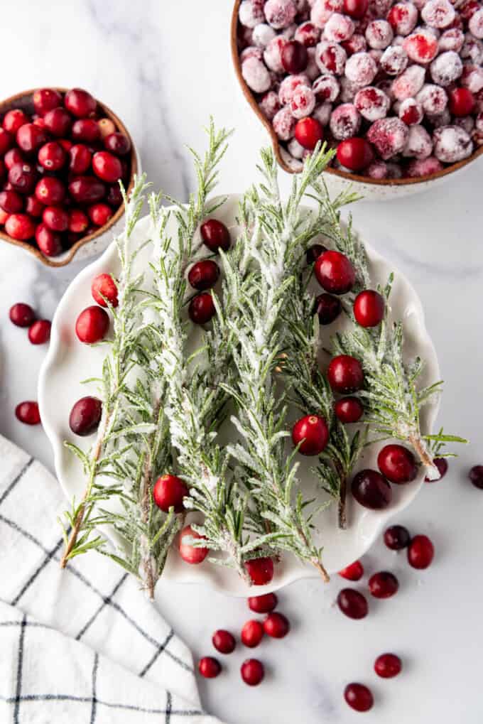 Sugared rosemary on a plate with cranberries around it.