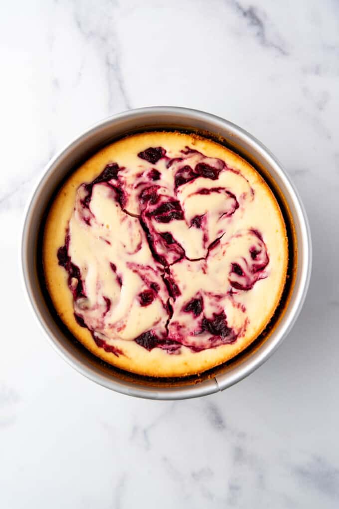 A baked cranberry cheesecake that has been chilled in the pan overnight.
