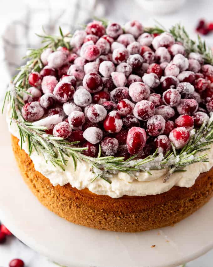 A decorated cranberry cheesecake.