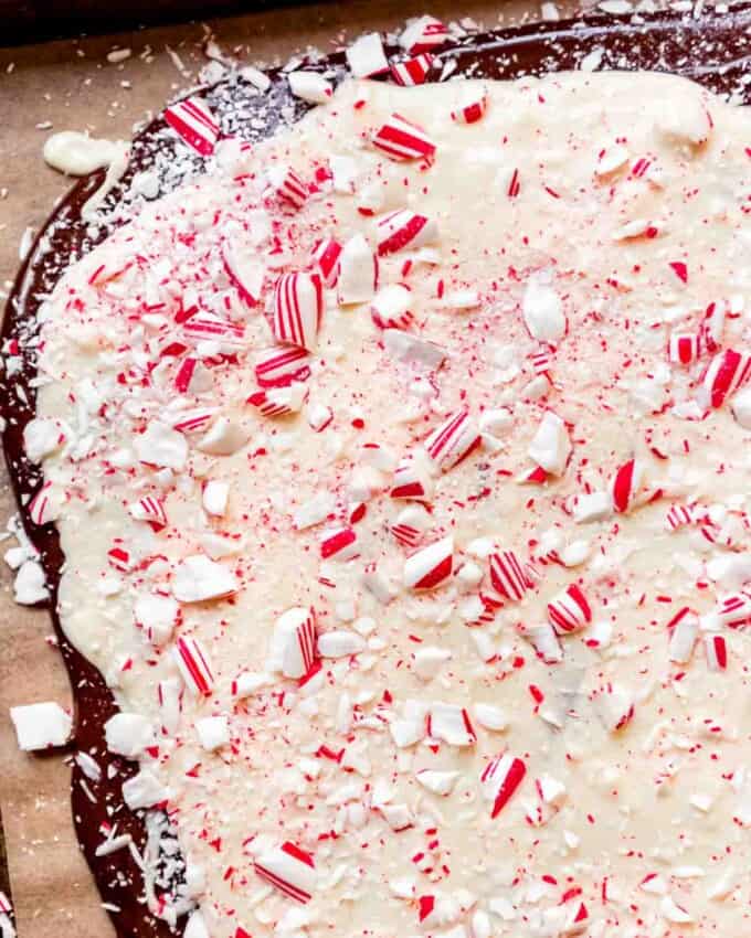 An image of homemade peppermint bark setting on a baking sheet before being broken into pieces.