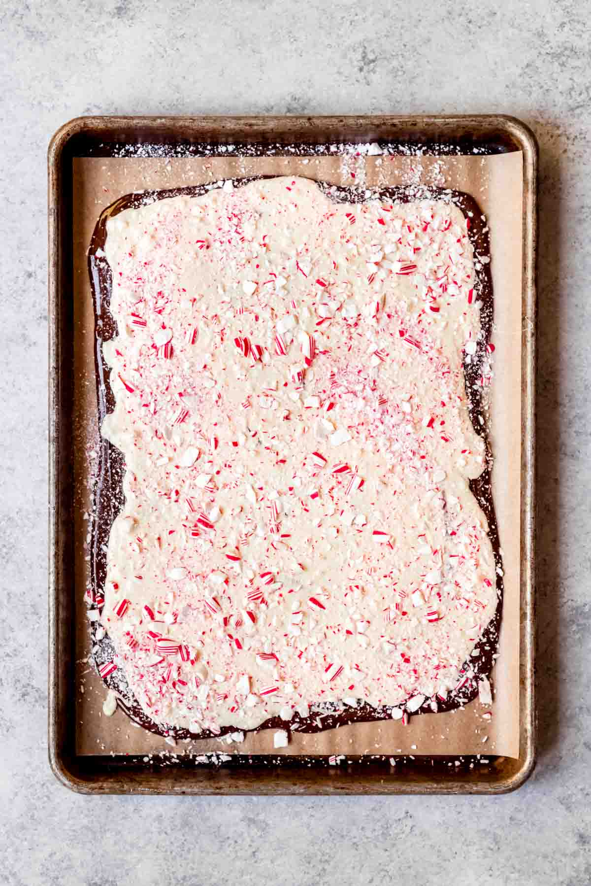 Crushed candy cane bites sprinkled over peppermint bark.