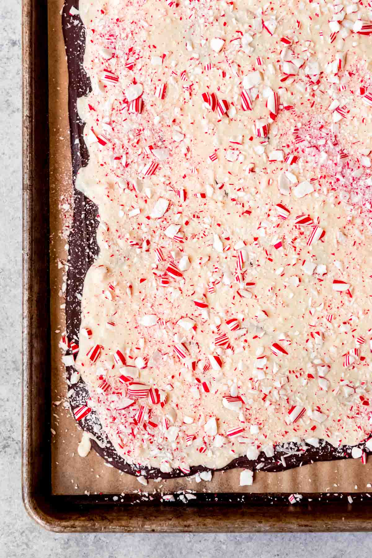 An image of homemade peppermint bark setting on a baking sheet before being broken into pieces.