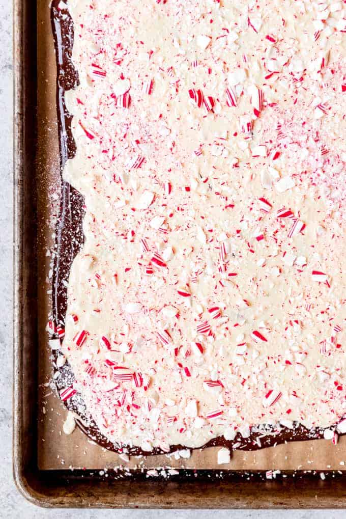 An image of homemade peppermint bark setting on a baking sheet before being broken into pieces.