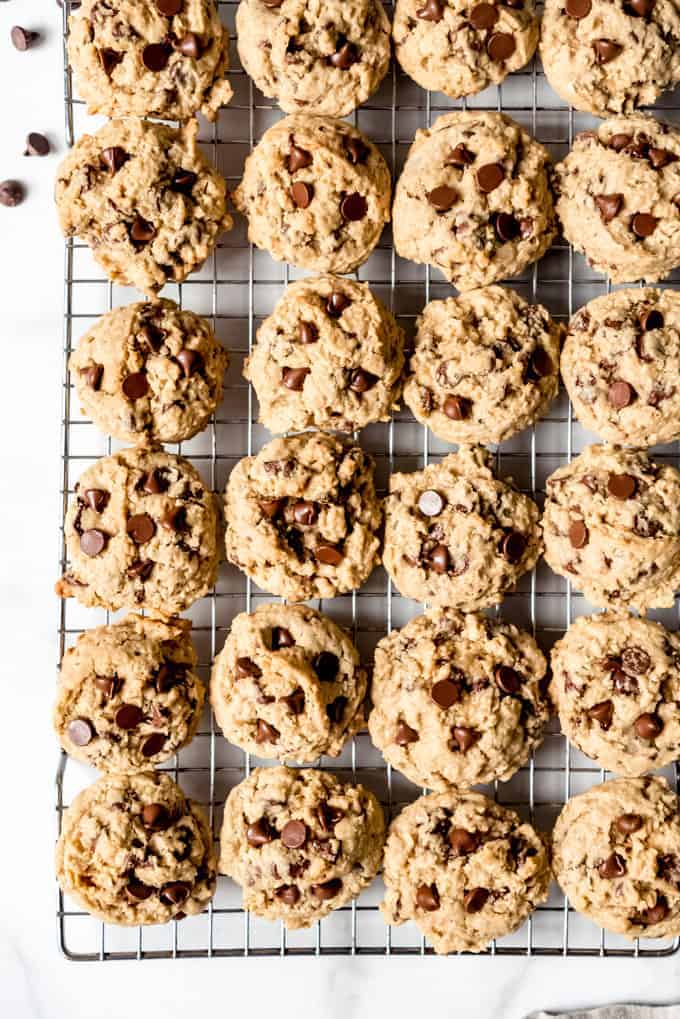 An image of oatmeal chocolate chip cookies on a wire cooling rack.