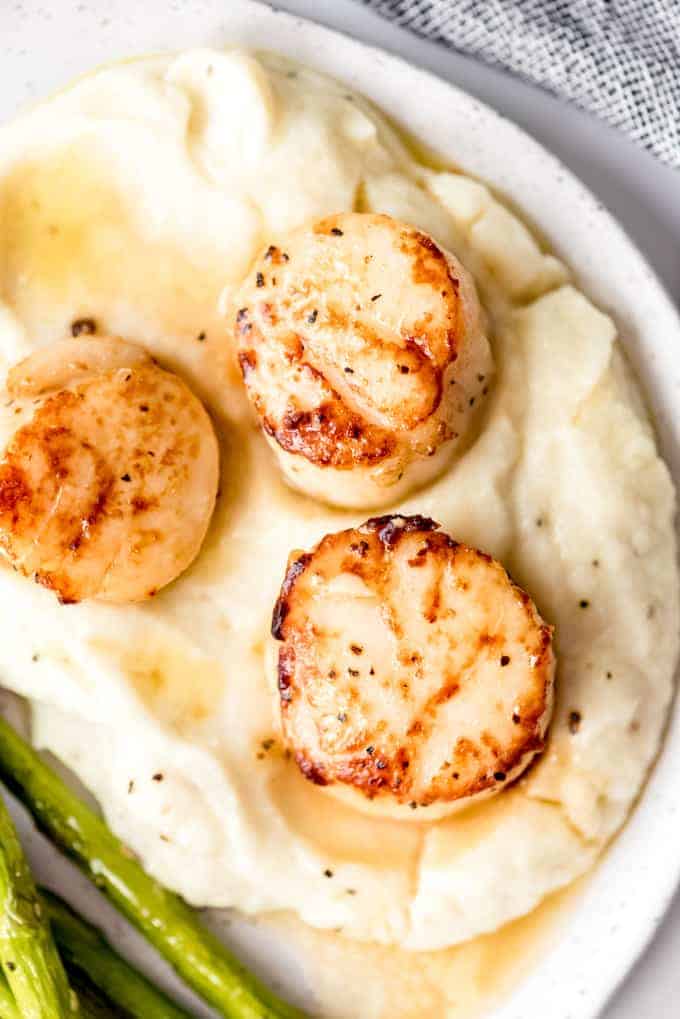 An image of caramelized seared scallops on mashed cauliflower.